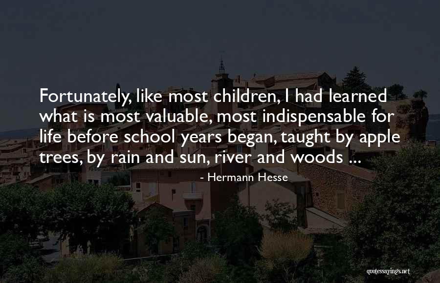 Rain And Trees Quotes By Hermann Hesse