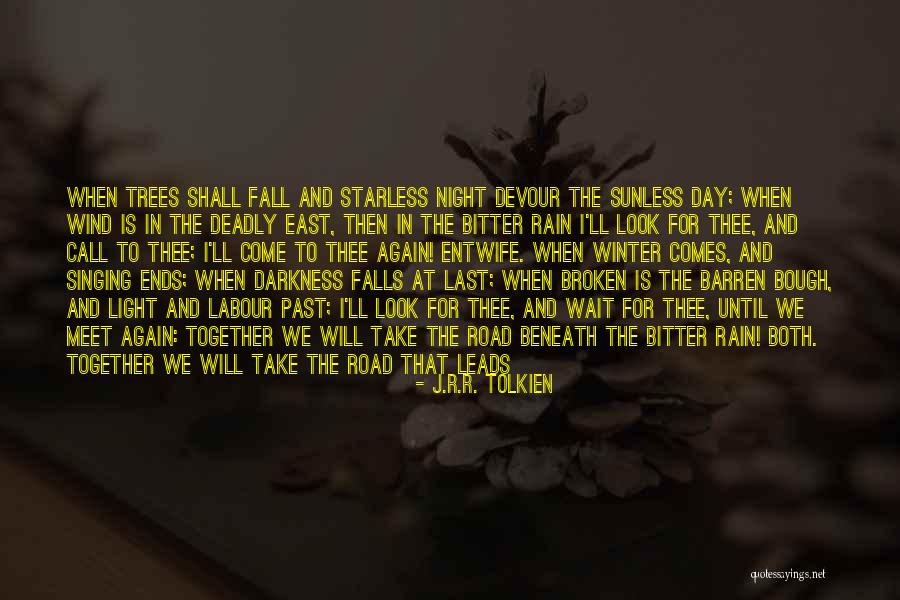 Rain And Trees Quotes By J.R.R. Tolkien