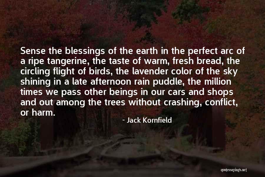 Rain And Trees Quotes By Jack Kornfield