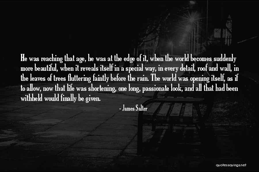 Rain And Trees Quotes By James Salter