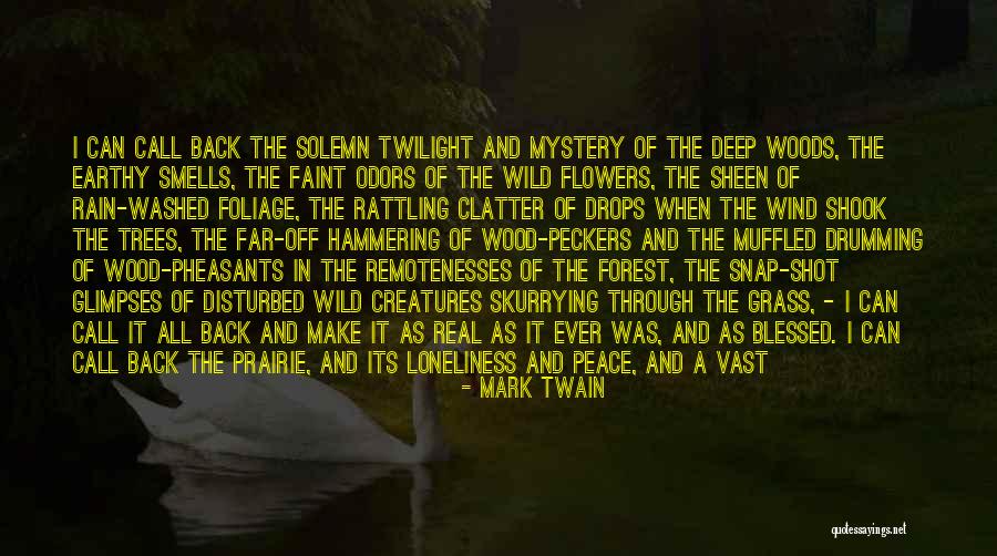 Rain And Trees Quotes By Mark Twain Rain And Trees Quotes By Mark Twain