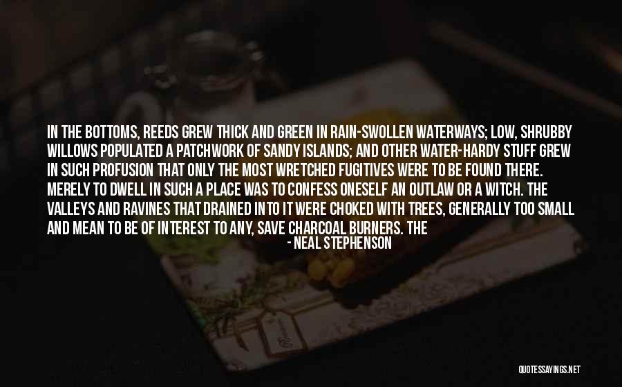 Rain And Trees Quotes By Neal Stephenson Rain And Trees Quotes By Neal Stephenson