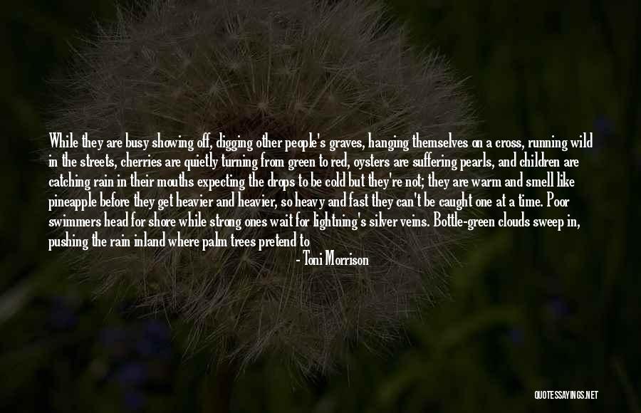 Rain And Trees Quotes By Toni Morrison