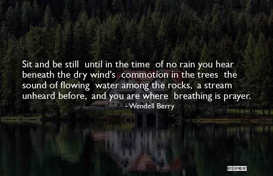 Rain And Trees Quotes By Wendell Berry