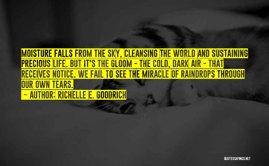 Rain Cleansing Quotes By Richelle E. Goodrich