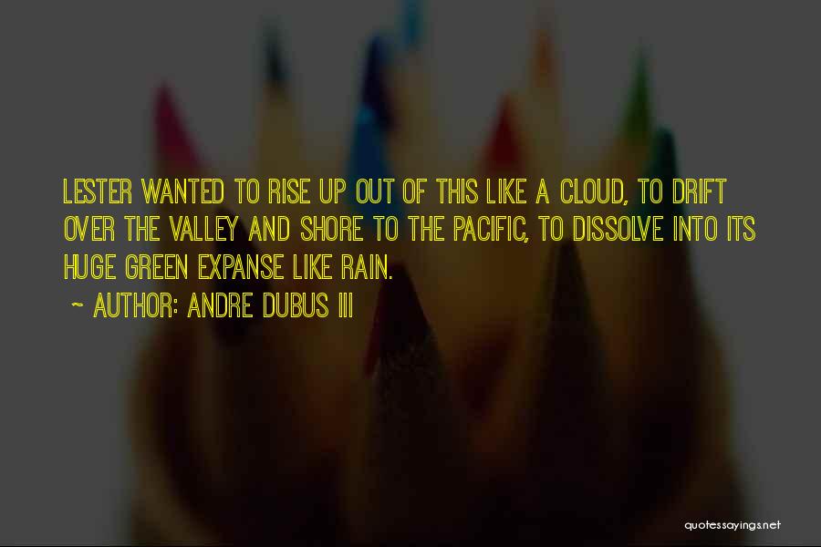 Rain Cloud Quotes By Andre Dubus III