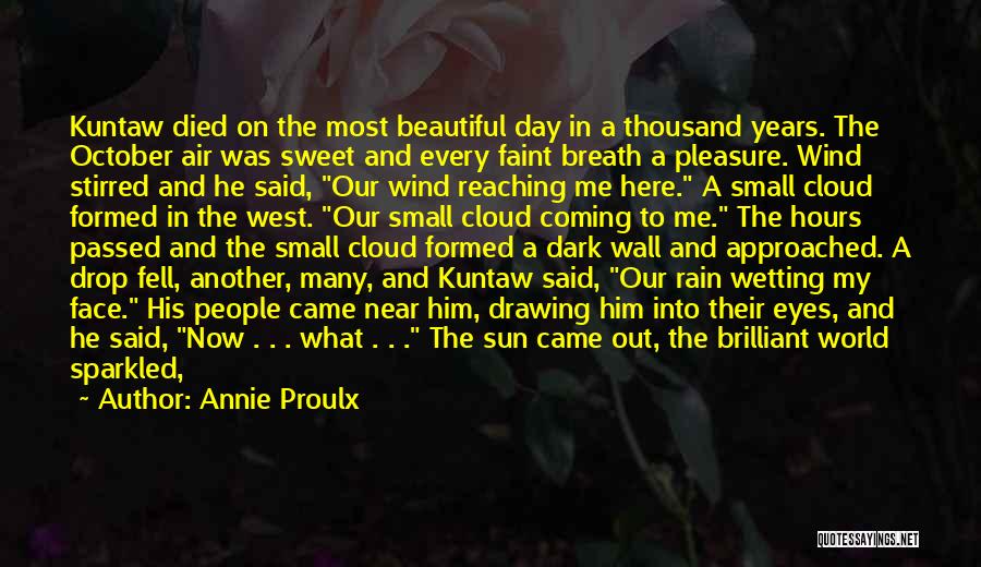 Rain Cloud Quotes By Annie Proulx