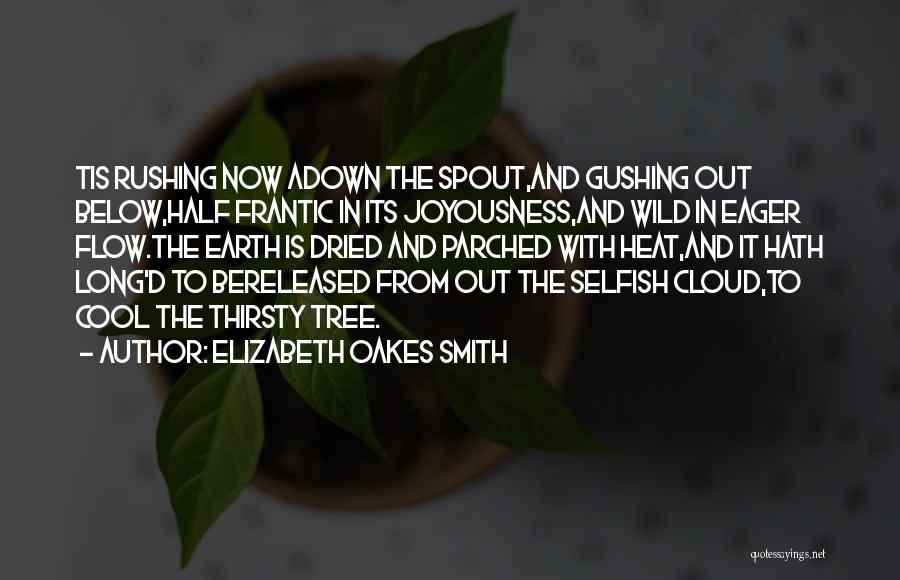 Rain Cloud Quotes By Elizabeth Oakes Smith