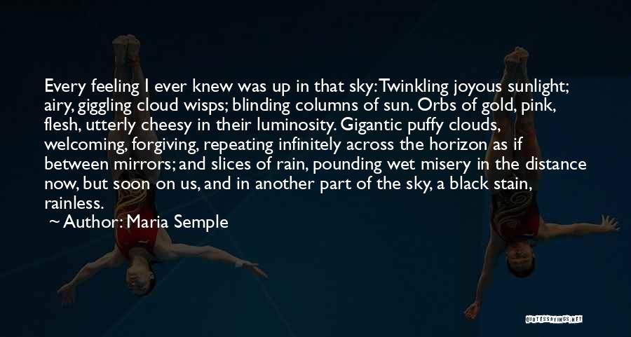 Rain Cloud Quotes By Maria Semple