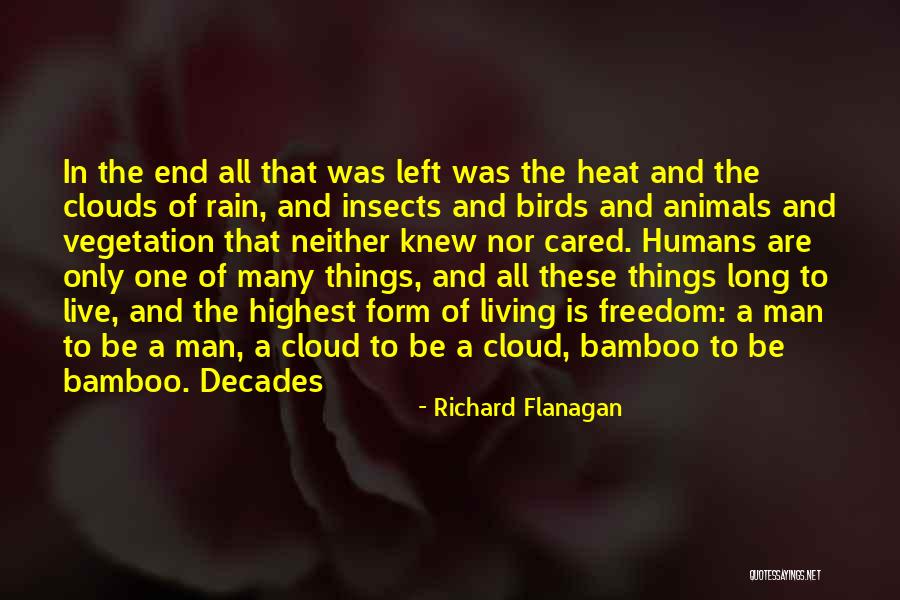 Rain Cloud Quotes By Richard Flanagan