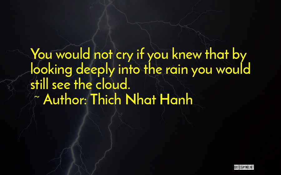 Rain Cloud Quotes By Thich Nhat Hanh