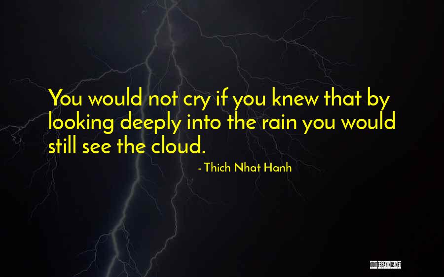 Rain Cloud Quotes By Thich Nhat Hanh Rain Cloud Quotes By Thich Nhat Hanh