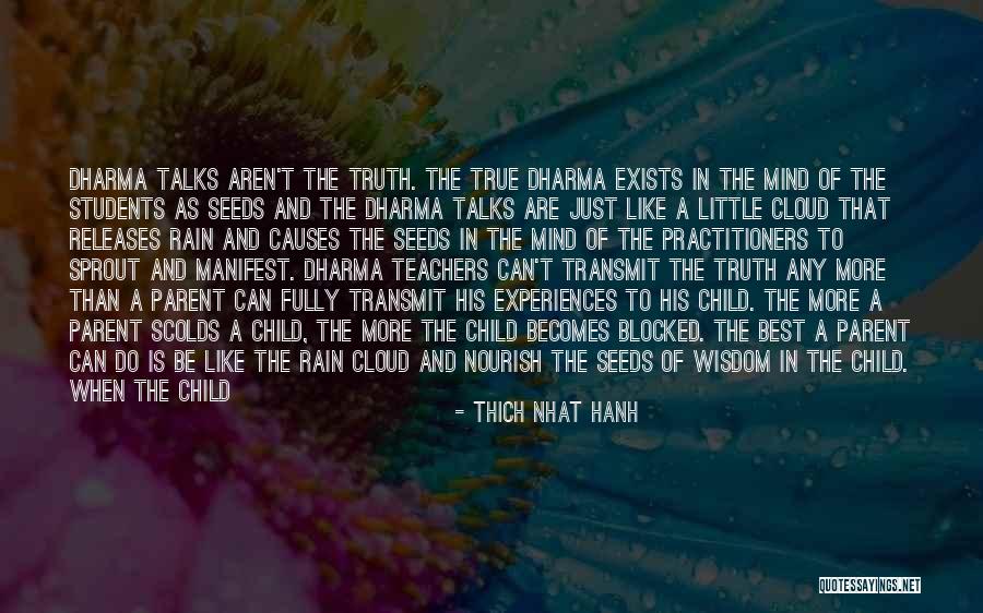 Rain Cloud Quotes By Thich Nhat Hanh