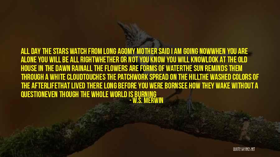 Rain Cloud Quotes By W.S. Merwin Rain Cloud Quotes By W.S. Merwin
