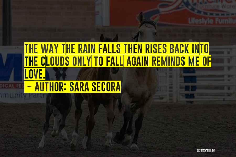 Rain Clouds Quotes By Sara Secora