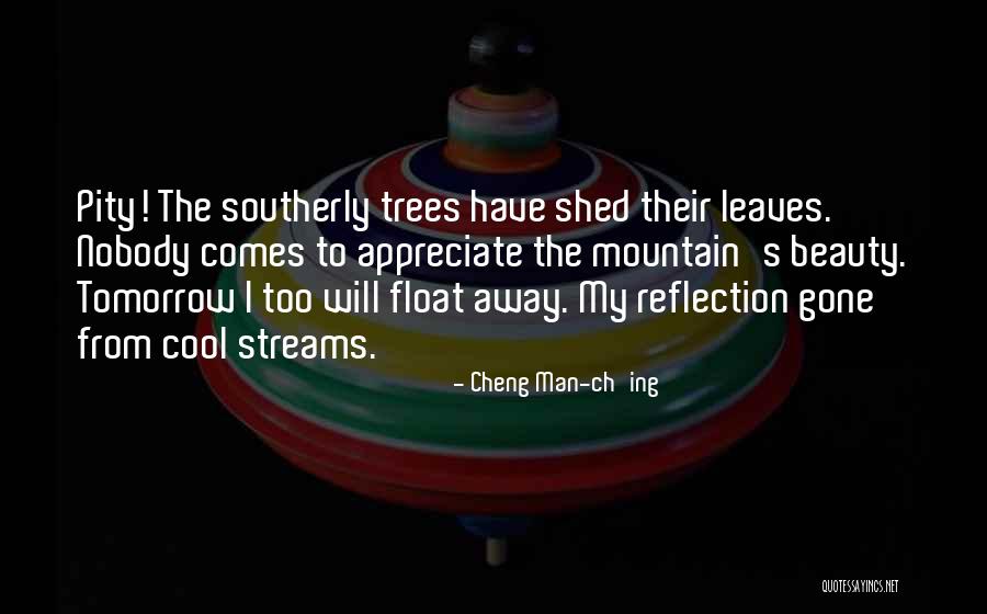 Rain Comes Quotes By Cheng Man-ch'ing Rain Comes Quotes By Cheng Man-ch'ing