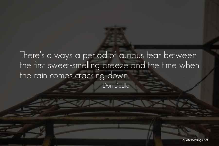 Rain Comes Quotes By Don DeLillo Rain Comes Quotes By Don DeLillo