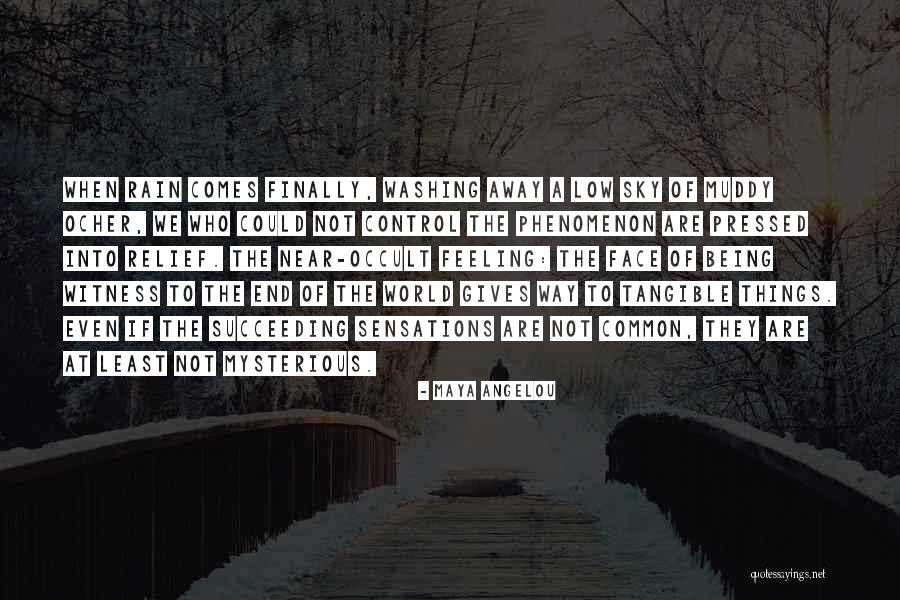 Rain Comes Quotes By Maya Angelou Rain Comes Quotes By Maya Angelou