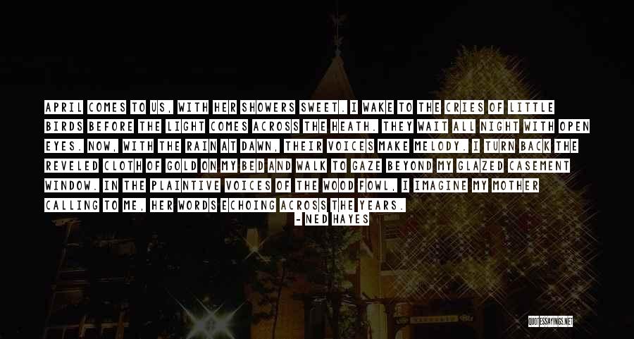 Rain Comes Quotes By Ned Hayes Rain Comes Quotes By Ned Hayes