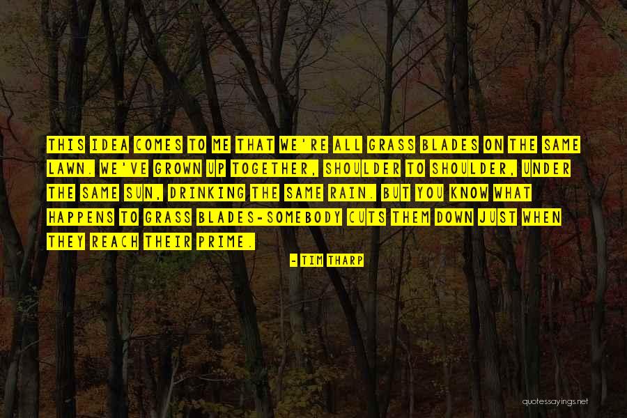 Rain Comes Quotes By Tim Tharp Rain Comes Quotes By Tim Tharp