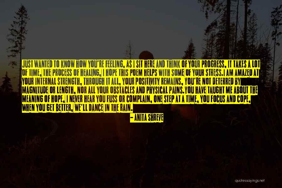 Rain Dance Quotes By Anita Shreve Rain Dance Quotes By Anita Shreve