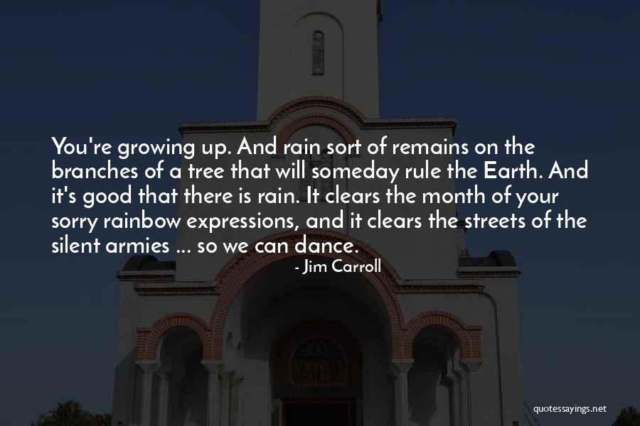 Rain Dance Quotes By Jim Carroll