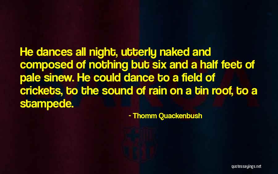 Rain Dance Quotes By Thomm Quackenbush