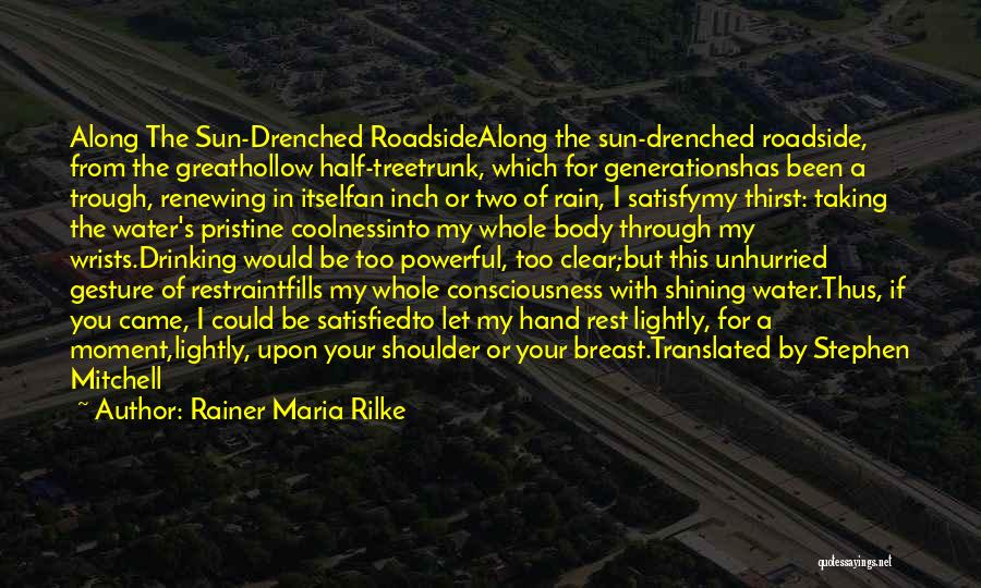 Rain Drenched Quotes By Rainer Maria Rilke