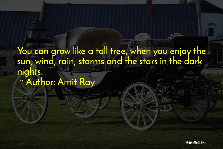 Rain Enjoy Quotes By Amit Ray