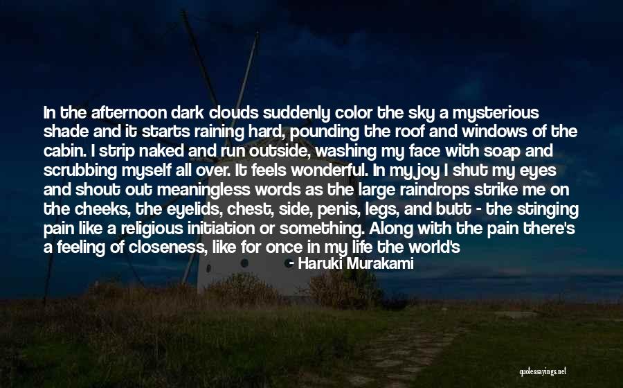 Rain Falling Down Quotes By Haruki Murakami Rain Falling Down Quotes By Haruki Murakami