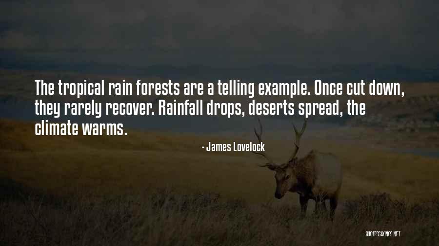 Rain Forests Quotes By James Lovelock Rain Forests Quotes By James Lovelock