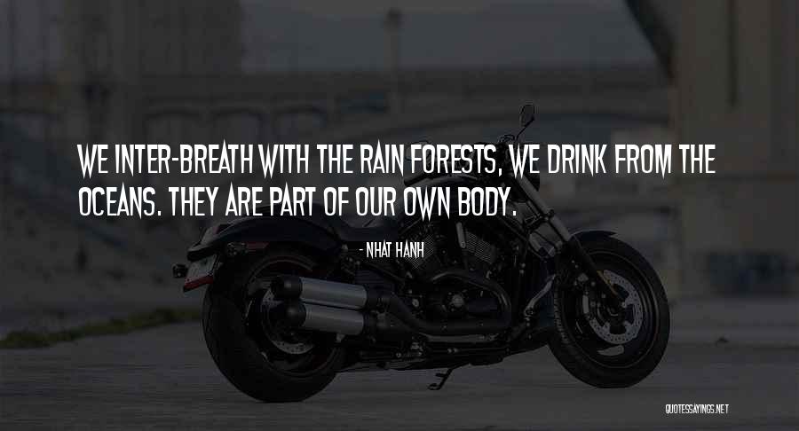 Rain Forests Quotes By Nhat Hanh Rain Forests Quotes By Nhat Hanh