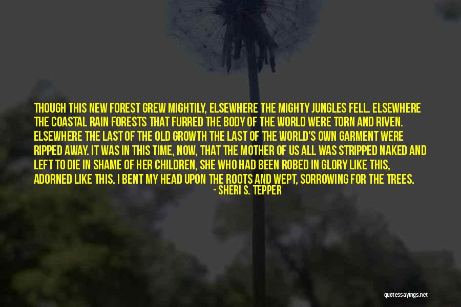 Rain Forests Quotes By Sheri S. Tepper Rain Forests Quotes By Sheri S. Tepper