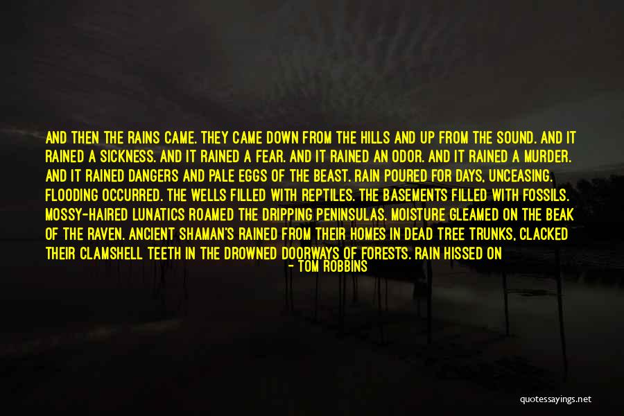 Rain Forests Quotes By Tom Robbins Rain Forests Quotes By Tom Robbins