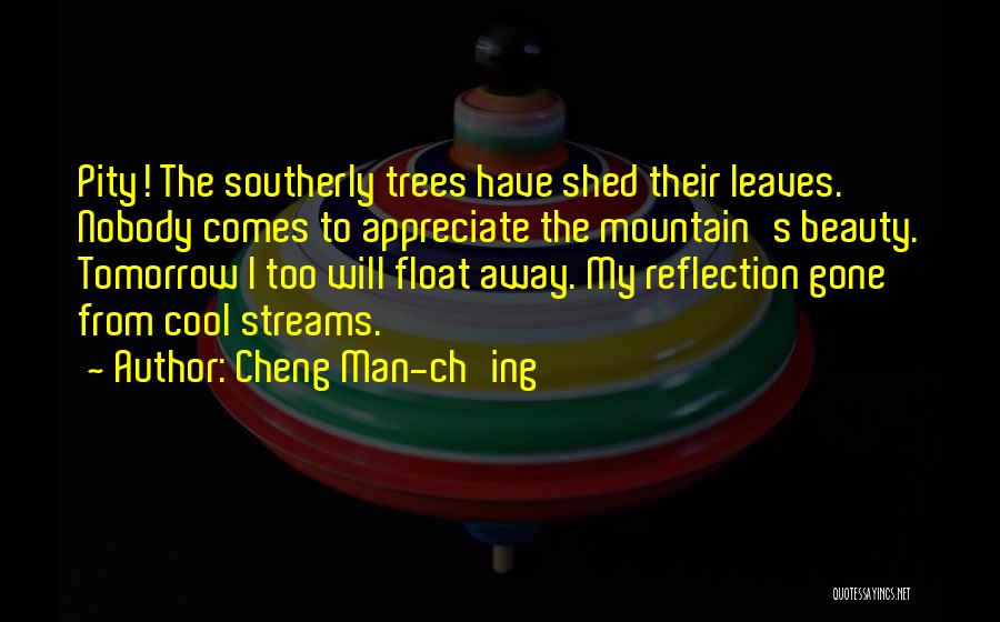 Rain Go Away Quotes By Cheng Man-ch'ing