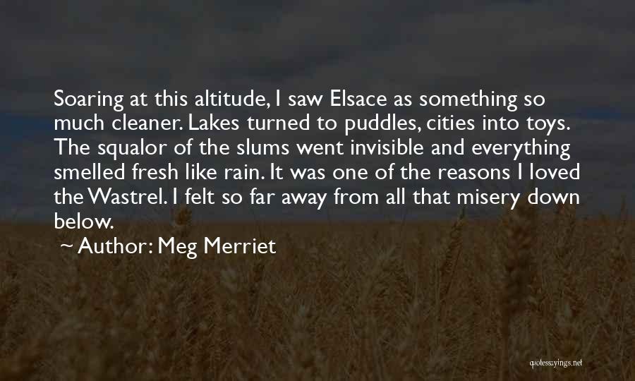 Rain Go Away Quotes By Meg Merriet