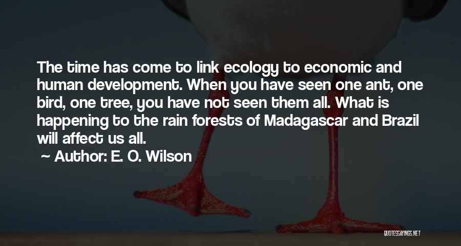 Rain Has Come Quotes By E. O. Wilson