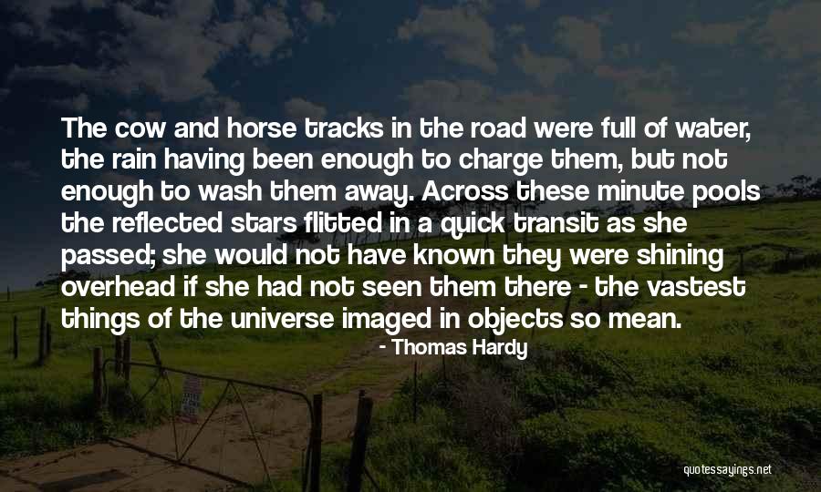 Rain Horse Quotes By Thomas Hardy Rain Horse Quotes By Thomas Hardy