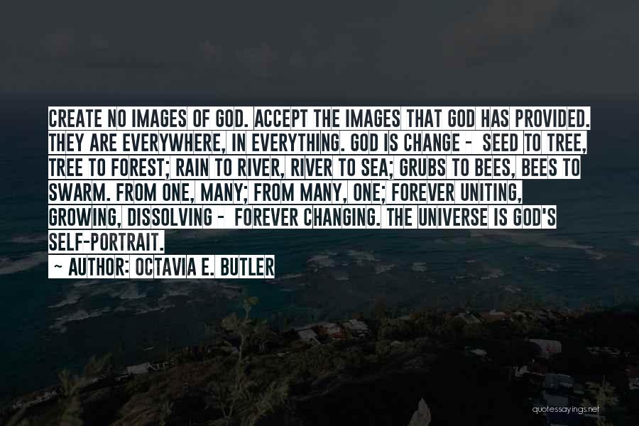 Rain Images And Quotes By Octavia E. Butler