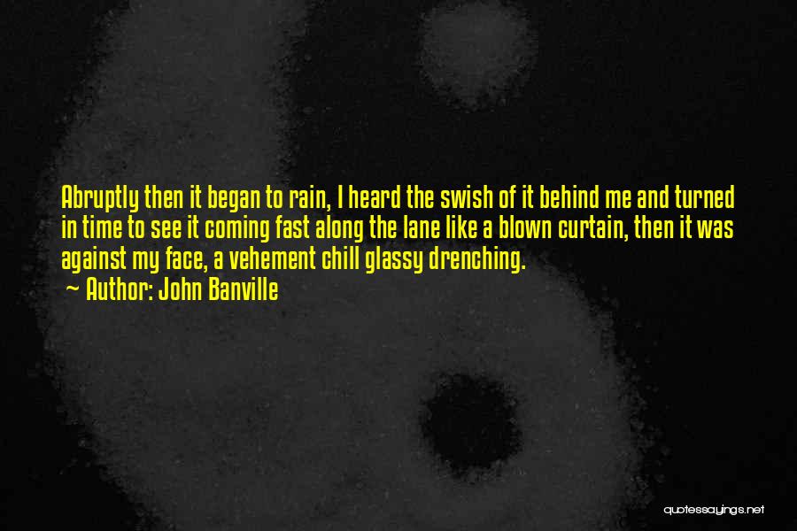 Rain In The Face Quotes By John Banville