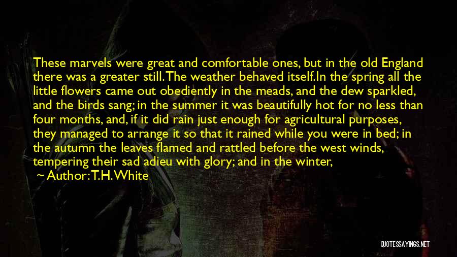 Rain In Winter Quotes By T.H. White