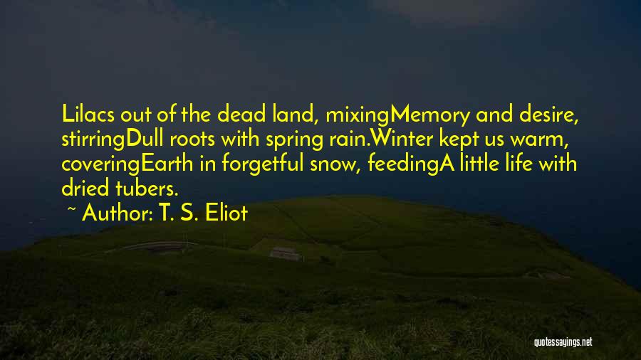 Rain In Winter Quotes By T. S. Eliot