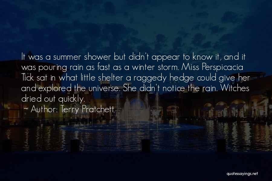 Rain In Winter Quotes By Terry Pratchett