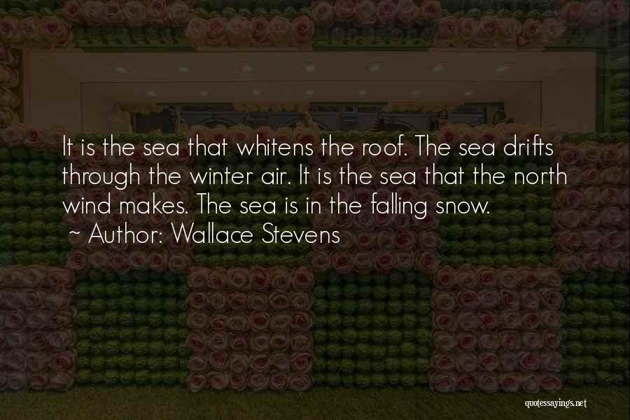 Rain In Winter Quotes By Wallace Stevens