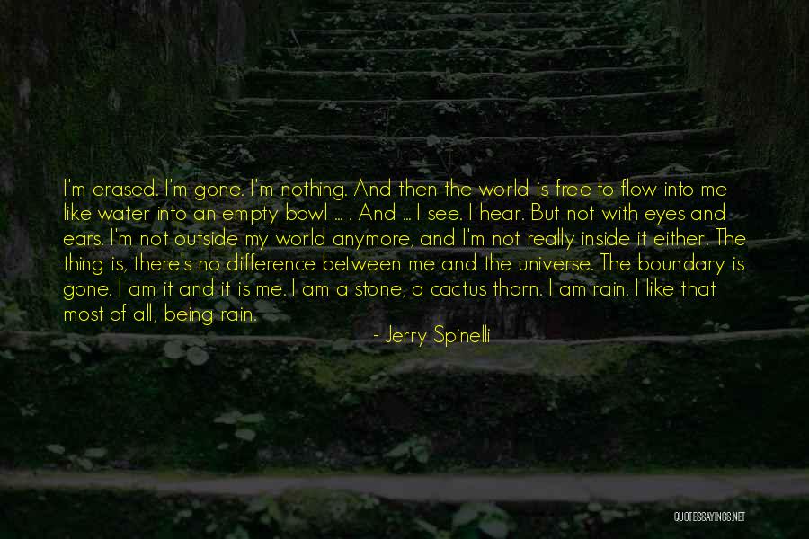 Rain Is Gone Quotes By Jerry Spinelli Rain Is Gone Quotes By Jerry Spinelli