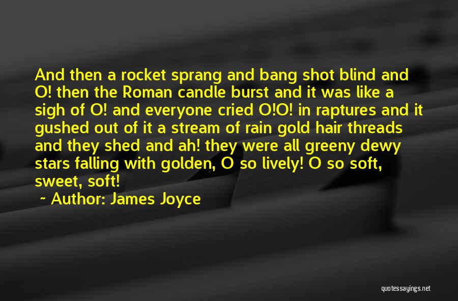 Rain Of Gold Quotes By James Joyce