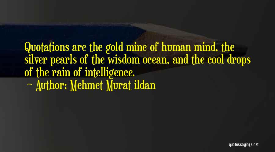 Rain Of Gold Quotes By Mehmet Murat Ildan