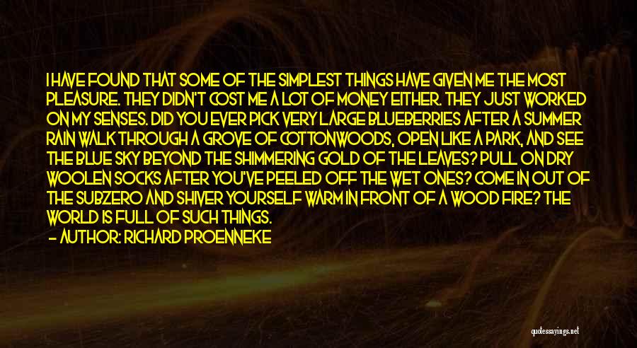 Rain Of Gold Quotes By Richard Proenneke