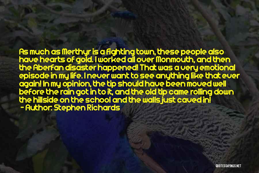 Rain Of Gold Quotes By Stephen Richards