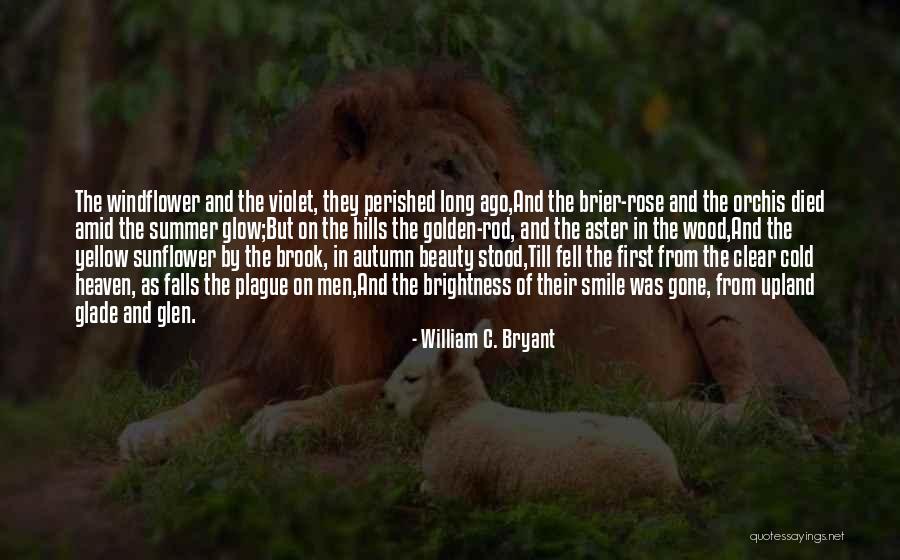 Rain One Controller Quotes By William C. Bryant